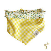 Cargar imagen en el visor de la galería, Bandana | Spring