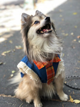 Cargar imagen en el visor de la galería, Espantapájaros