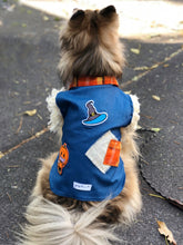 Cargar imagen en el visor de la galería, Espantapájaros