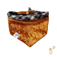 Cargar imagen en el visor de la galería, Bandana | Clásica