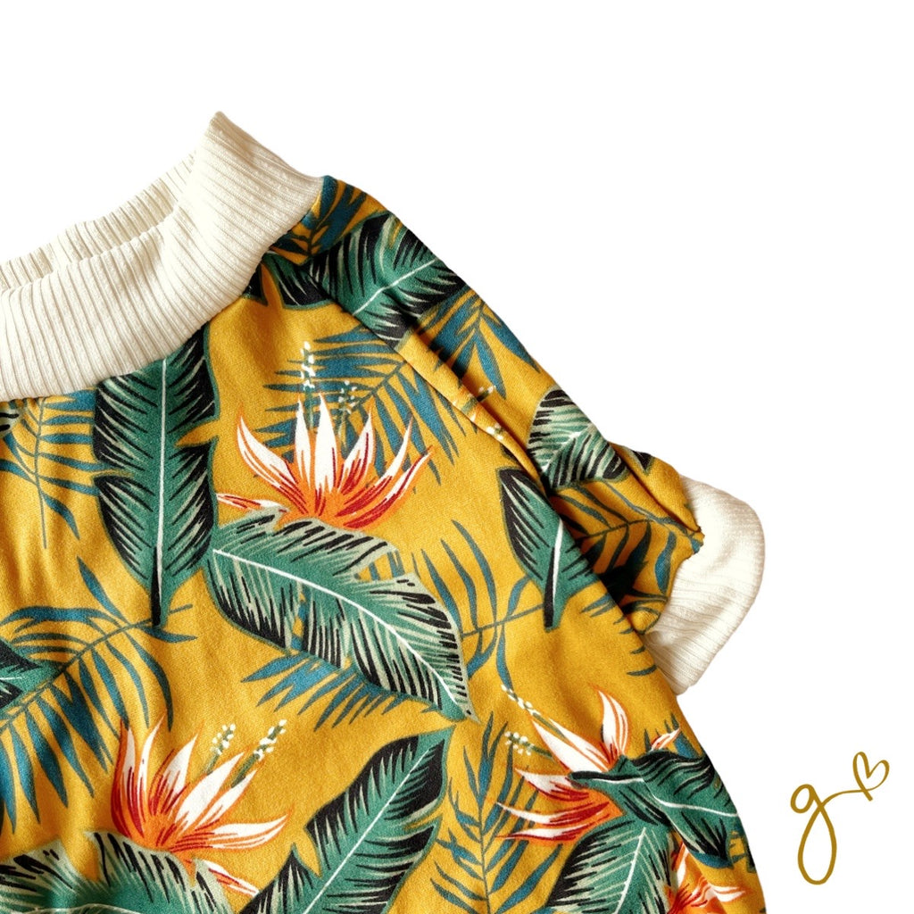 Playera | Verano