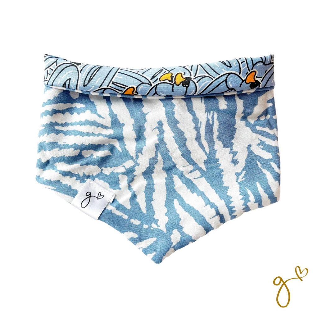Bandana | Patos